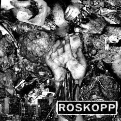 SICK DESTROYER // ROSKOPP - split 7"EP