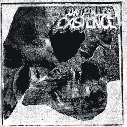 CONTROLLED EXISTENCE // SHITBRAINS - split 7"EP